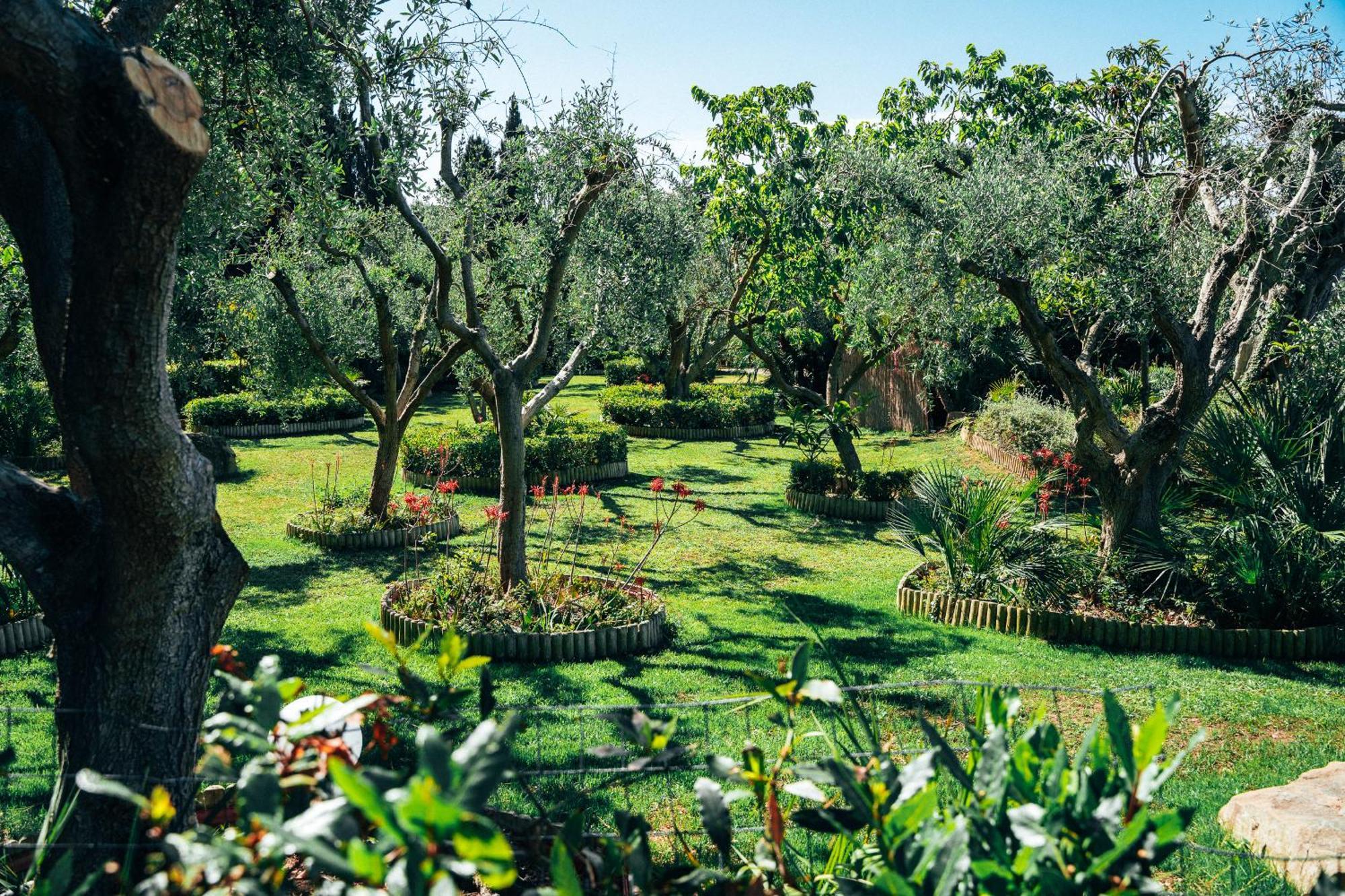 Residence Solemaremma 卡斯蒂里昂纳·德拉佩 外观 照片