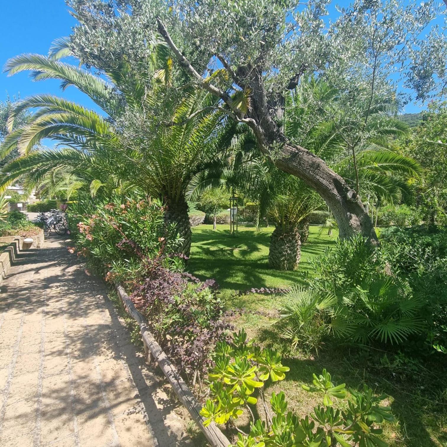 Residence Solemaremma 卡斯蒂里昂纳·德拉佩 外观 照片