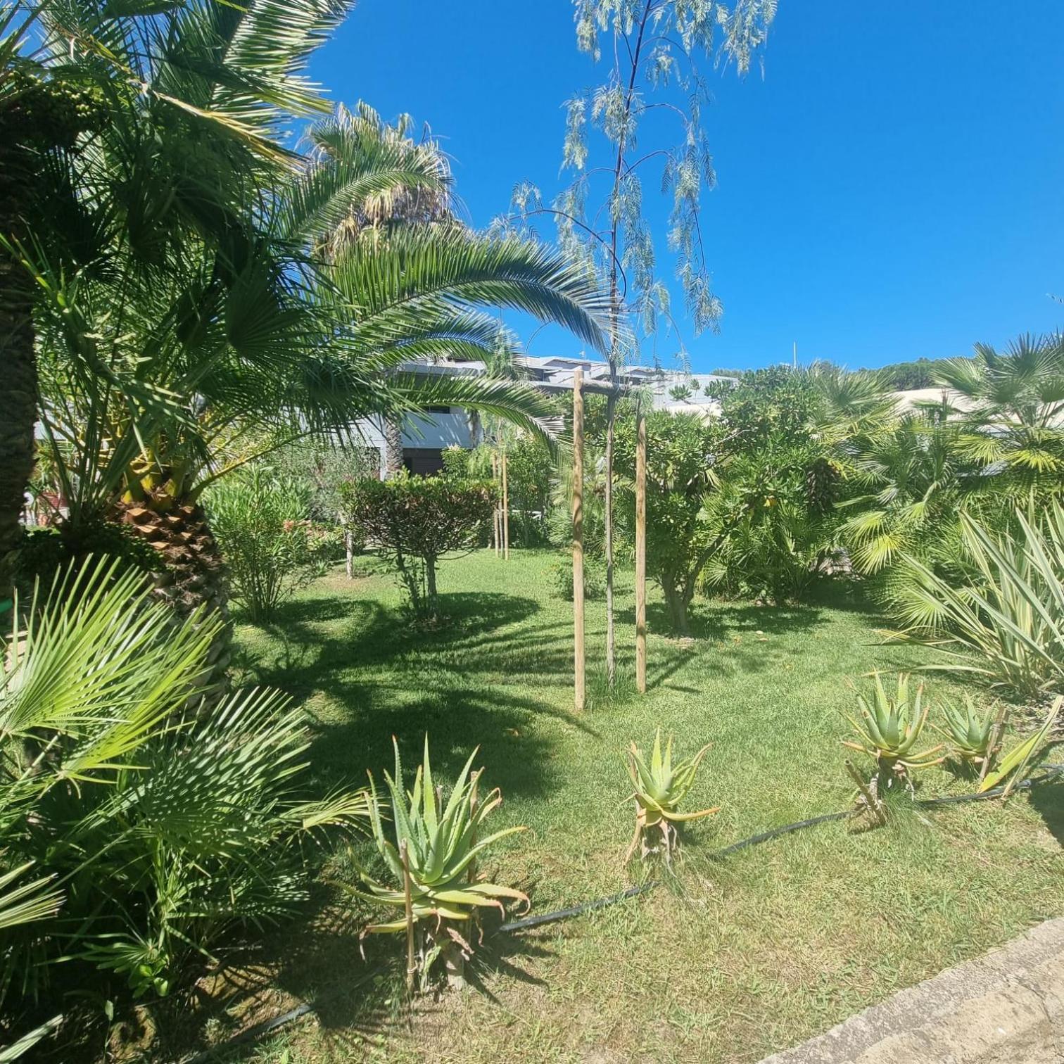 Residence Solemaremma 卡斯蒂里昂纳·德拉佩 外观 照片